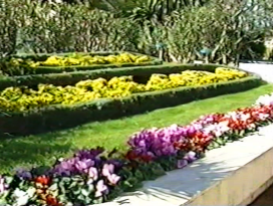 Montecarlo, jardín